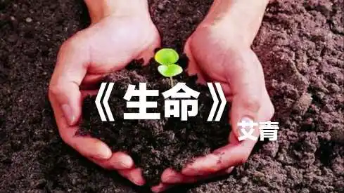 生命的特征